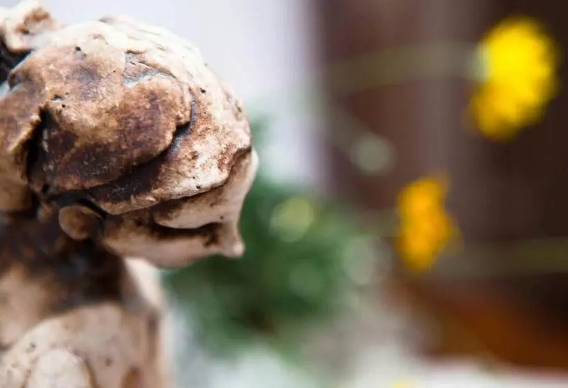 Bed And Breakfast Libano