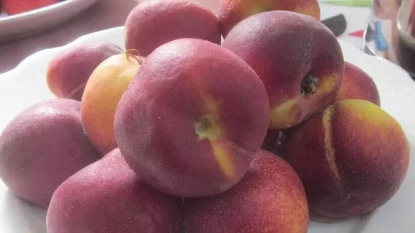 Bed And Breakfast Libano