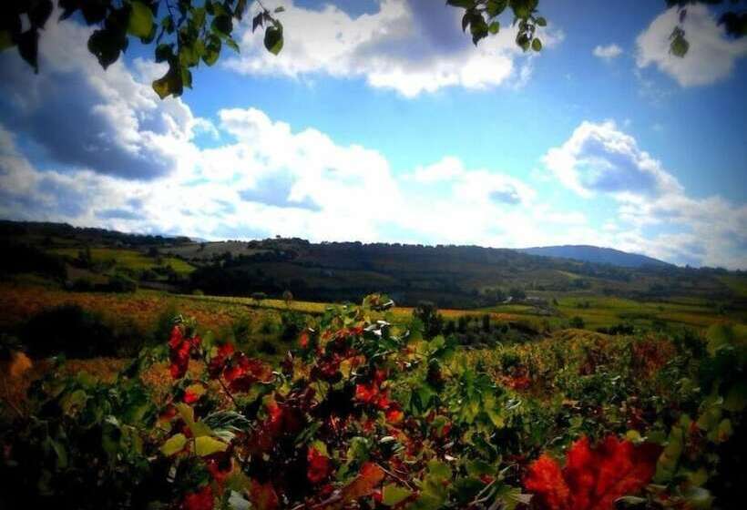 مبيت وإفطار Pietro & Graziella