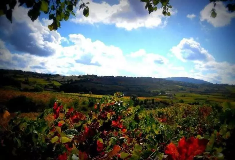 Aamiaismajoitus (B&B) Pietro & Graziella