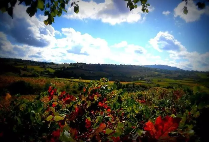 Aamiaismajoitus (B&B) Pietro & Graziella