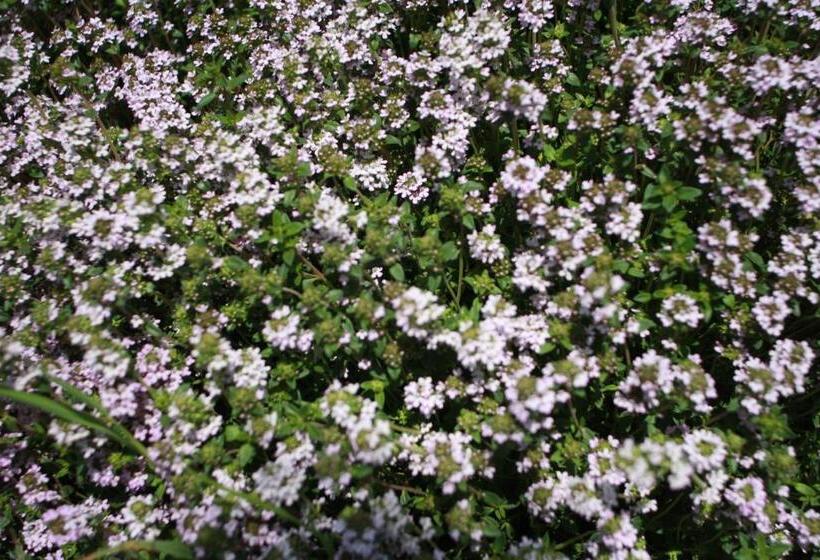 ベッドアンドブレックファースト Poggioba