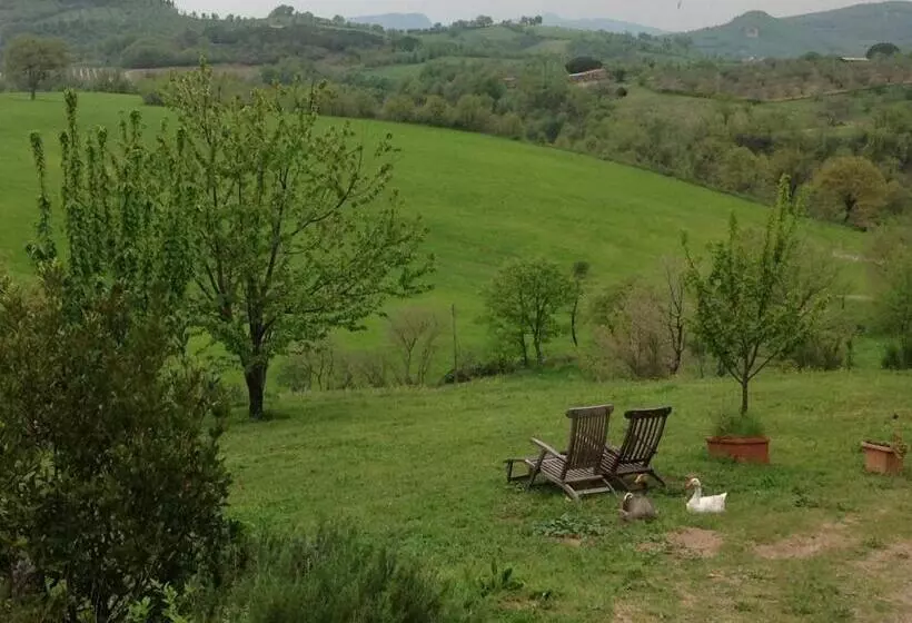 ベッドアンドブレックファースト Poggioba