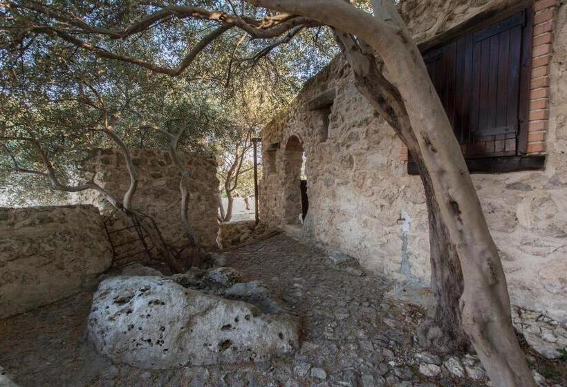 ベッドアンドブレックファースト Roba Degli Ulivi