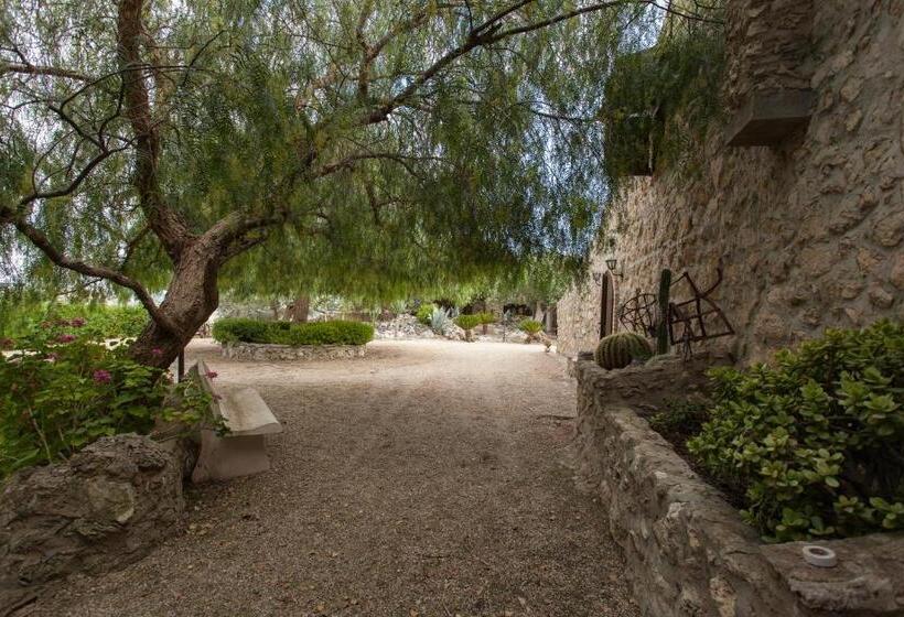 ベッドアンドブレックファースト Roba Degli Ulivi