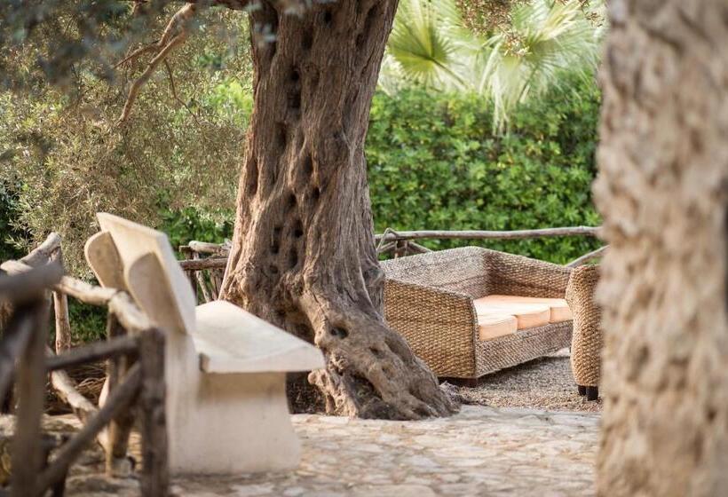 ベッドアンドブレックファースト Roba Degli Ulivi