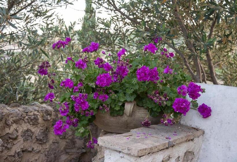 ベッドアンドブレックファースト Roba Degli Ulivi