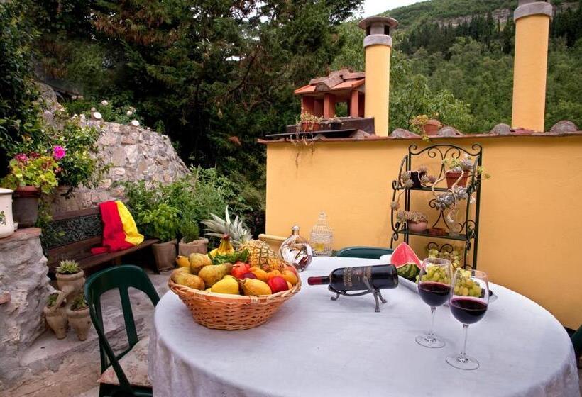 Bed and Breakfast Ulivo Rosso