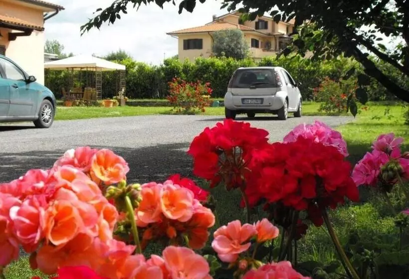 ベッドアンドブレックファースト Villa Etruria Guest House
