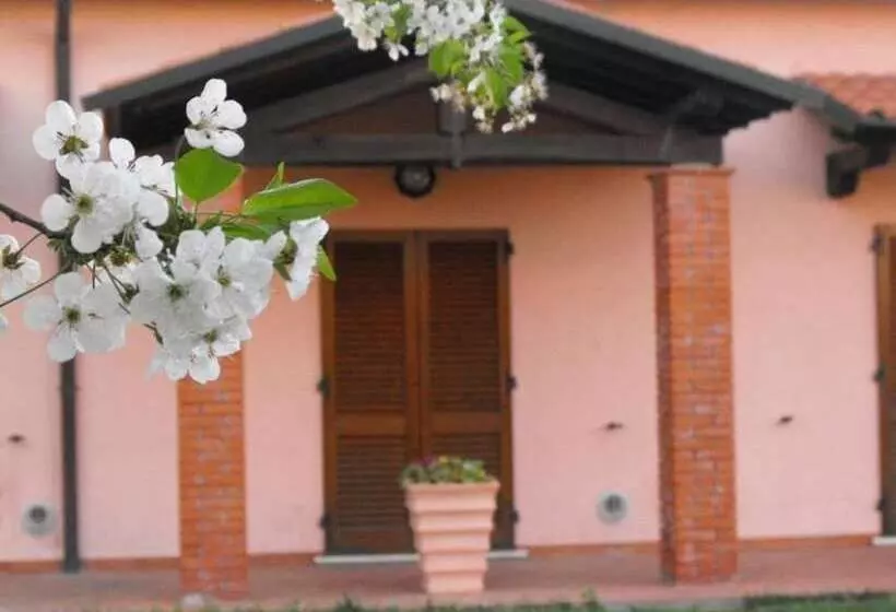 ベッドアンドブレックファースト Villa Etruria Guest House