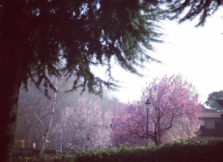 فندق San Michele