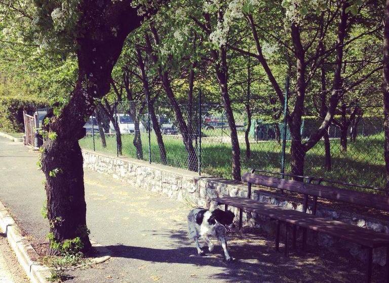 فندق San Michele