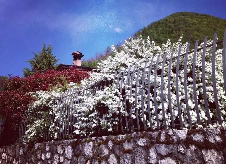 ホテル San Michele