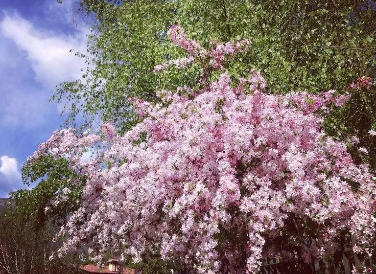 ホテル San Michele