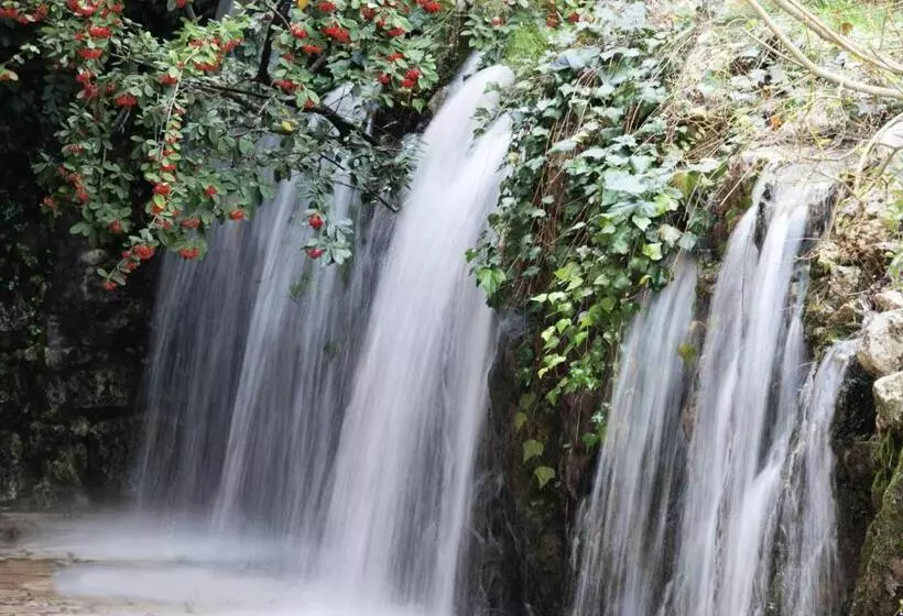 Il Portico Luxury B&b