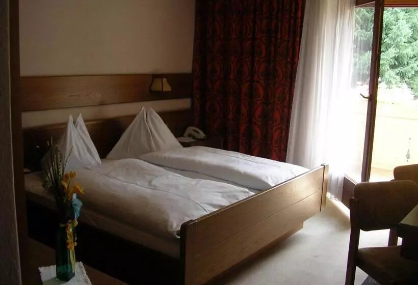 Aamiaismajoitus (B&B) Burgblick