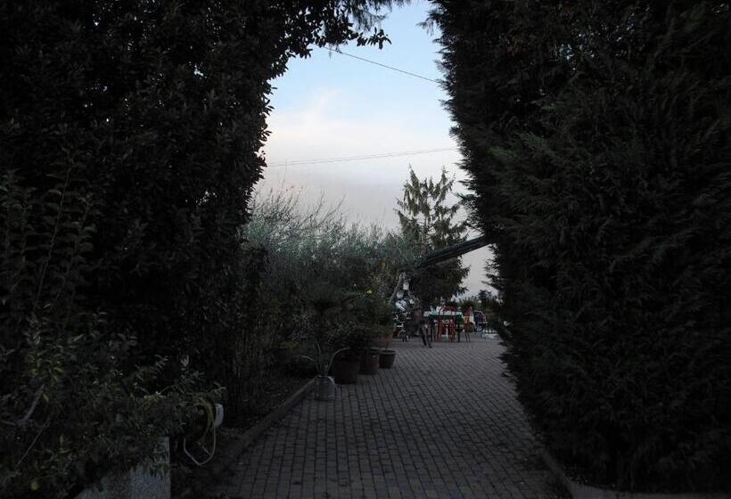 مبيت وإفطار Girelli Sorelle