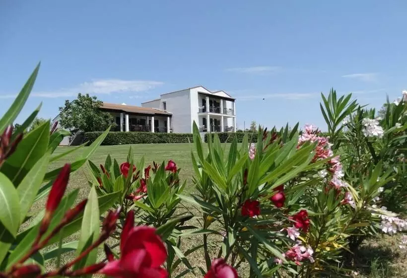 Aamiaismajoitus (B&B) Il Pagio