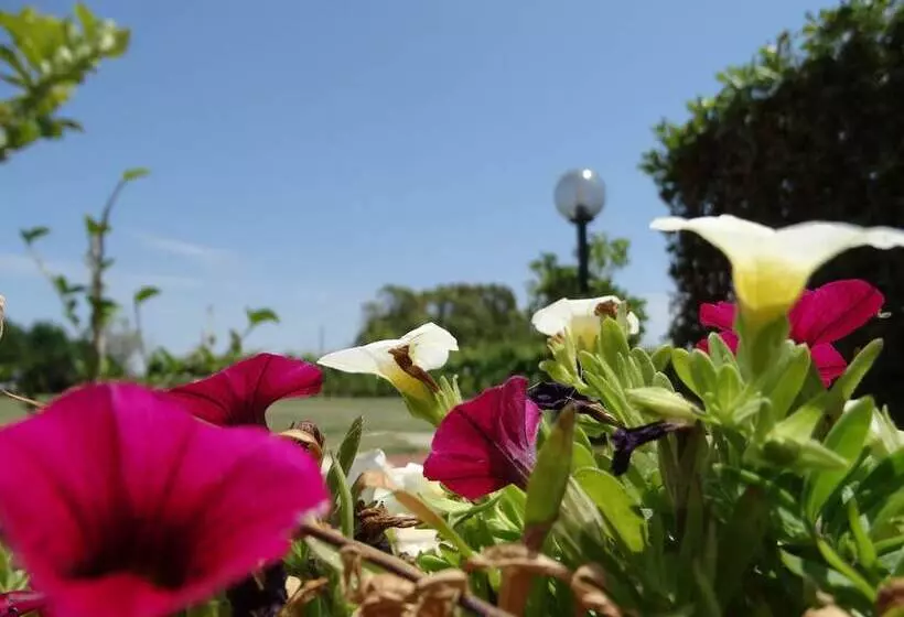 Aamiaismajoitus (B&B) Il Pagio