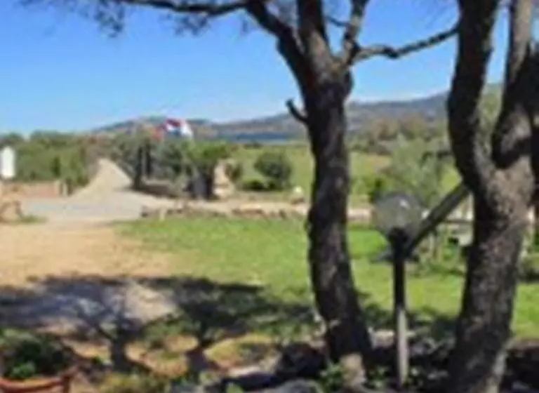 Bed And Breakfast Li Paduli Alvi