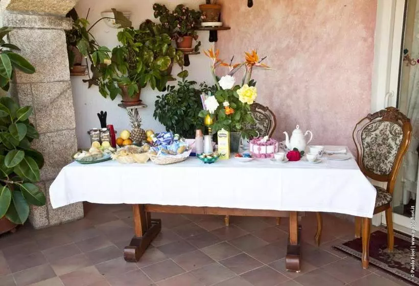 Bed And Breakfast Li Paduli Alvi