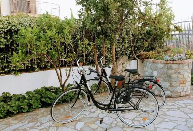 تختخواب و صبحانه Zama Bed&breakfast