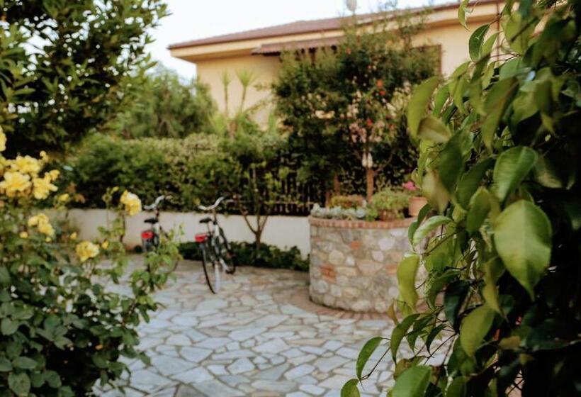 مبيت وإفطار Zama Bed&breakfast