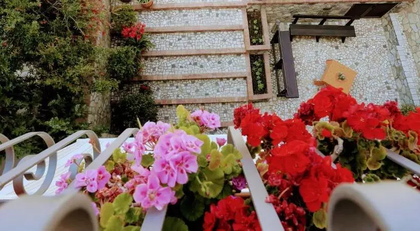 تختخواب و صبحانه Zama Bed&breakfast