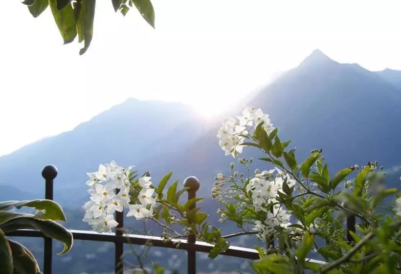 هتل Alpenrose