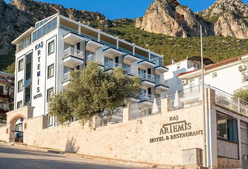هتل Kas Artemis