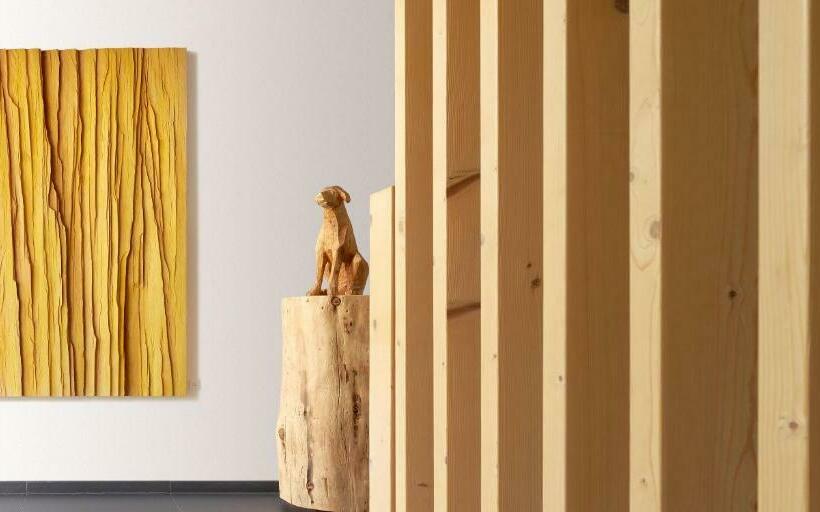 هتل Saleghes Dolomites Residence