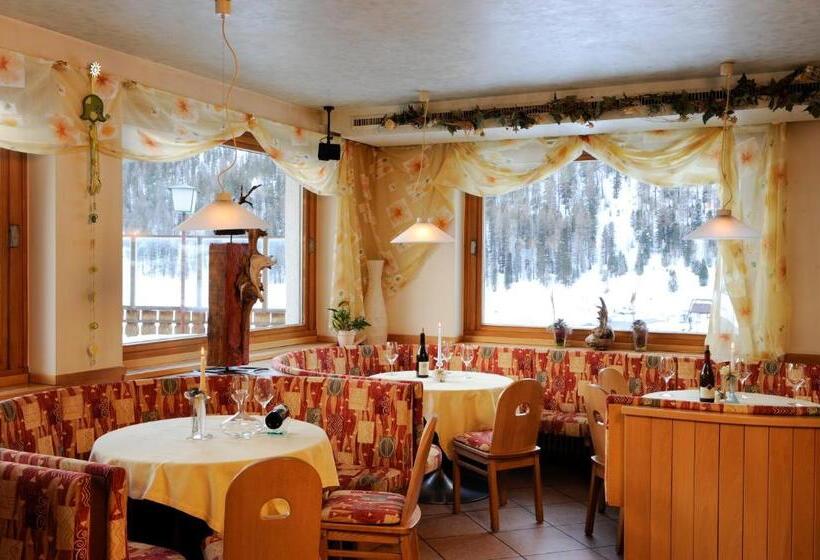 Отель Sport Robert