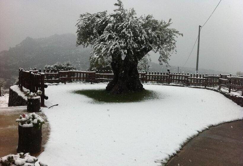 בית מלון כפרי Turismo Rurale Belvedere Pradonos