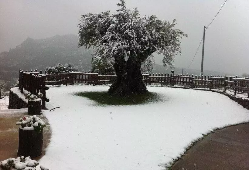هتل Turismo Rurale Belvedere Pradonos