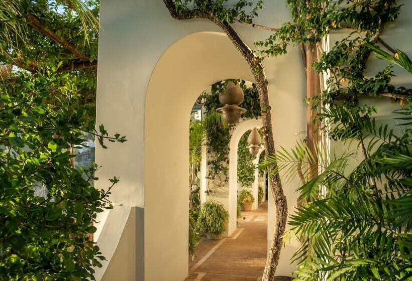 酒店 Villa Treville