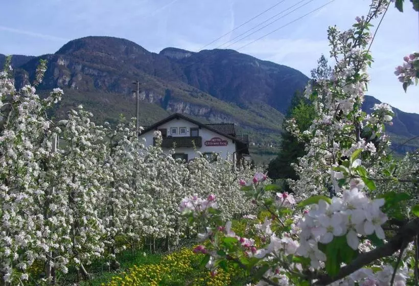 ホテル Villnerhof