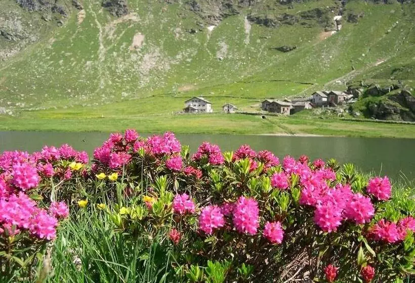 Residenssi Baita Dei Pini