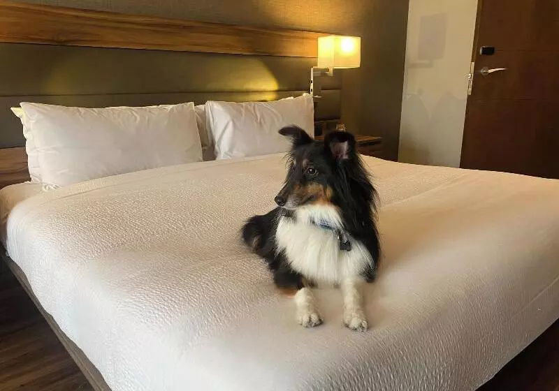 Ac Hotel By Marriott Santa Fe