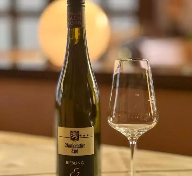 Hotelli Bacharacher Hof