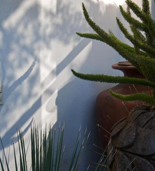 هتل Casa De La Real Aduana Boutique