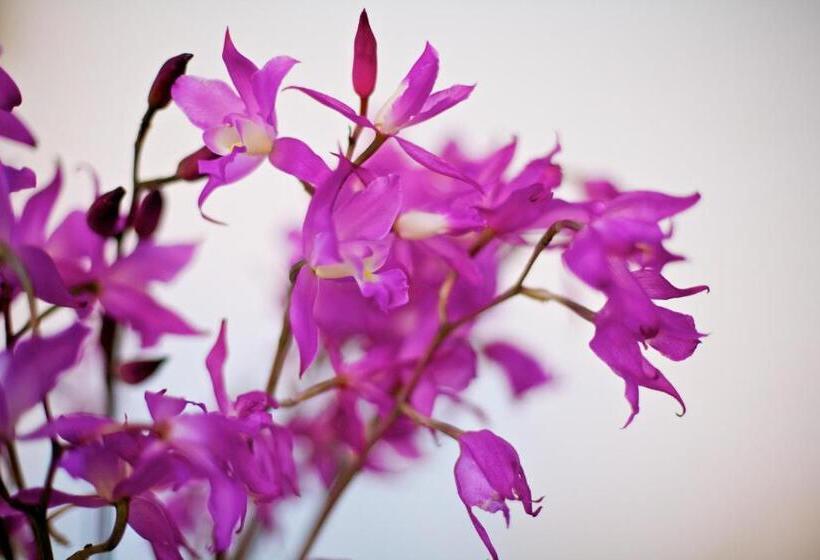 هتل Casa De La Real Aduana Boutique