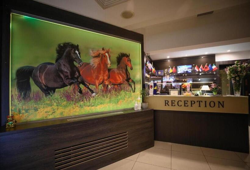 هتل City Boutique