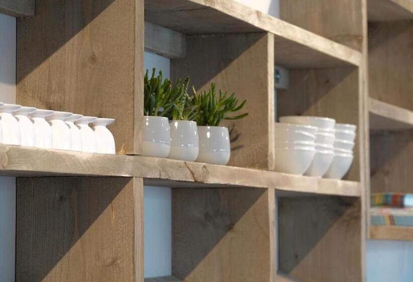 酒店 Drouwenerzand