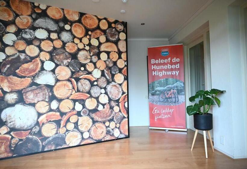 酒店 Drouwenerzand