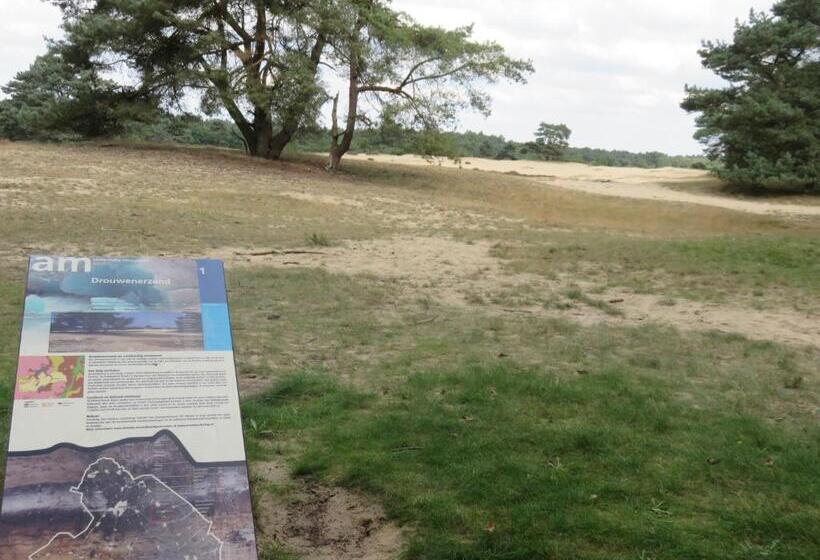 酒店 Drouwenerzand