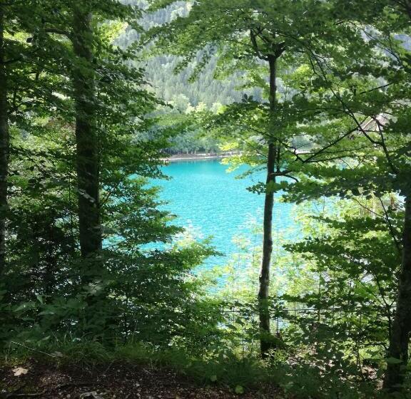 호텔 Gasthof Schwarzer Adler