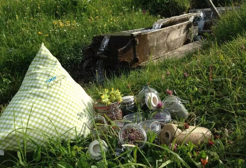 Hotelli Gasthof Schwarzer Adler