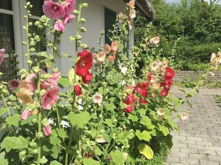 Badehotellet Havgaarden