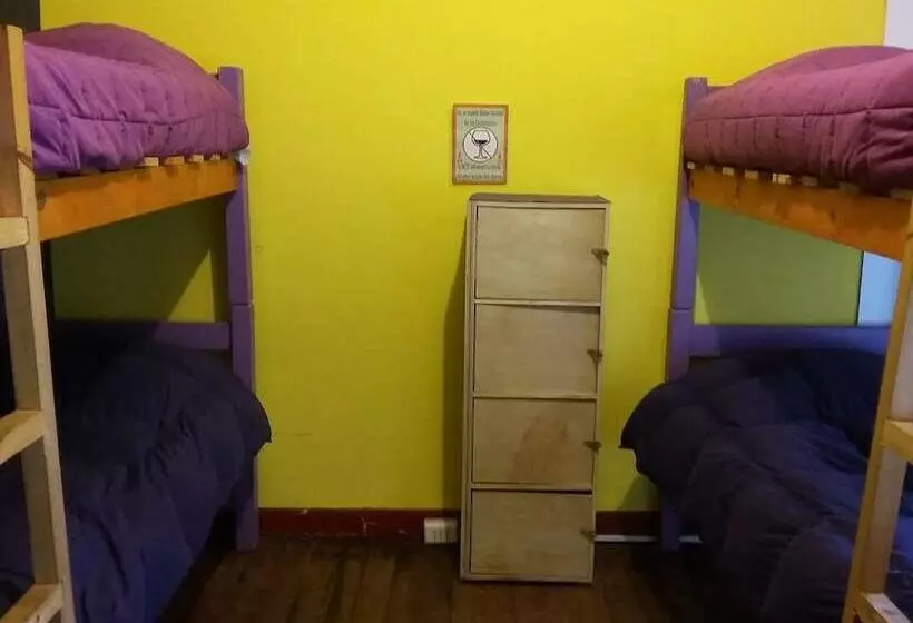 Street Garden Hostel