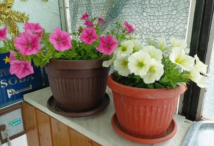 B&b Guest House Be Happy Parking,breakfast Center